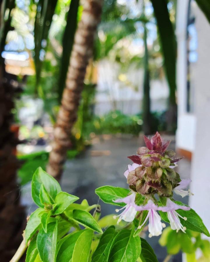 Tlaquepaque Pueblito Hotel Kültér fotó